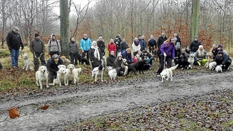 Hundetræf på Vemmetofte Strand Camping nytårsaftensdag