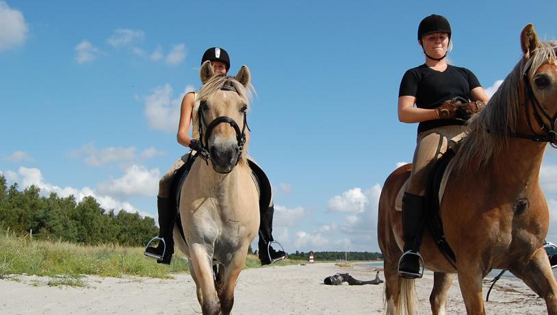 Ridning - Feddet Strand