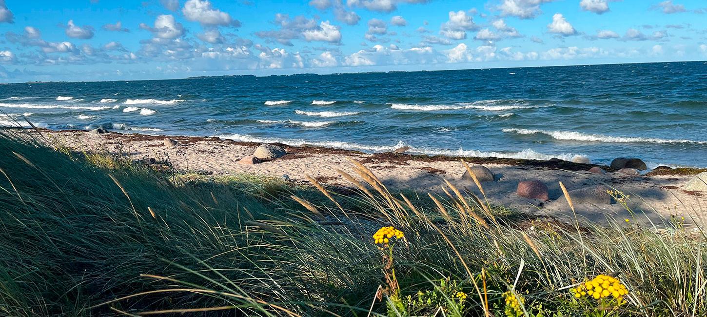 Svinø Strand