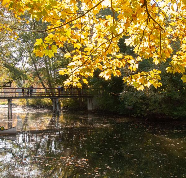 Natur ved Susåen Næstved 