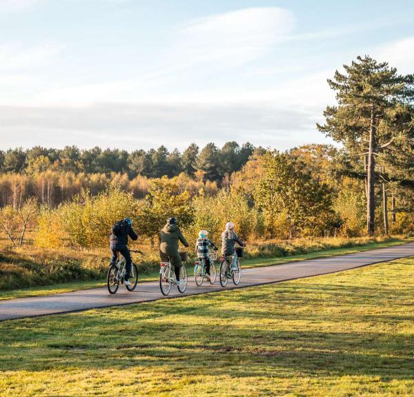 Cykkelnettet