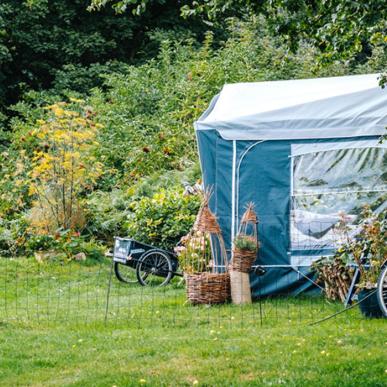 Camping på Møns Klint