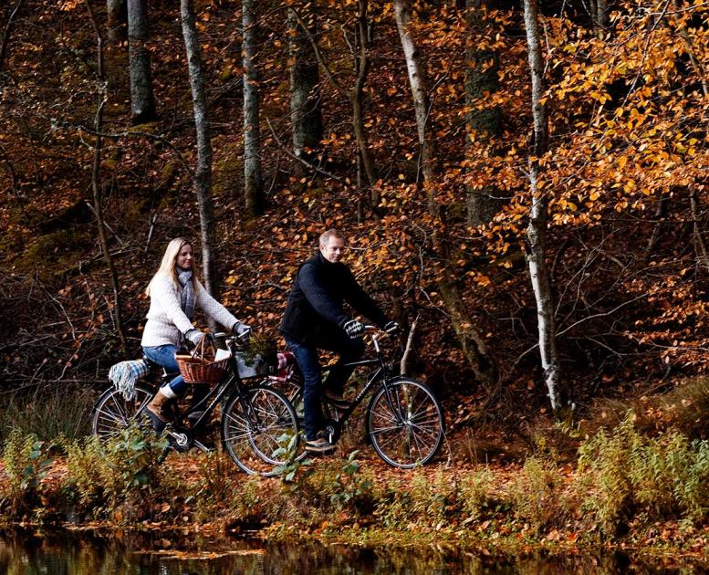 Cykelister efterår