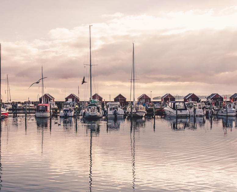 Rødvig lystbådehavn