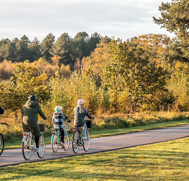 Efterår cykling familie