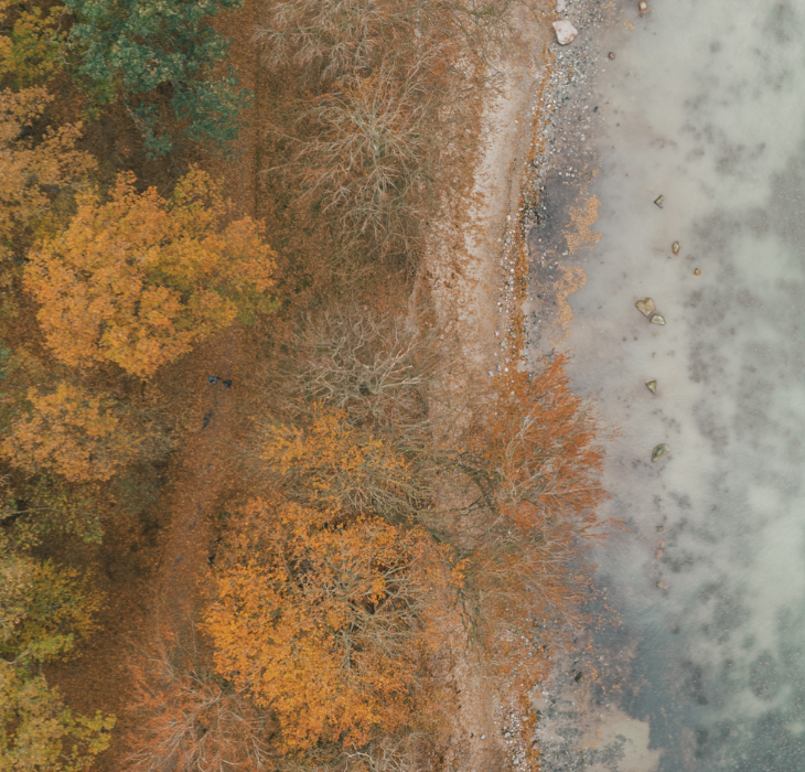 Stevns natur efterår